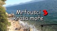 Mrfousci - krása moře (film)